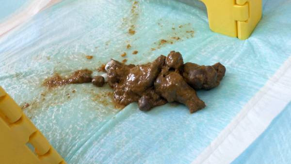 KBMS-128 이미지 #13