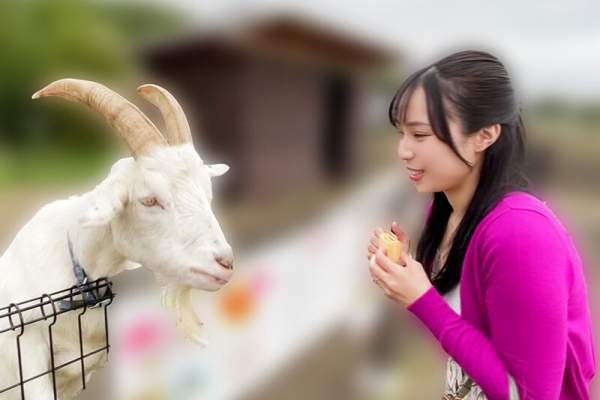 SOON-003 이미지 #6