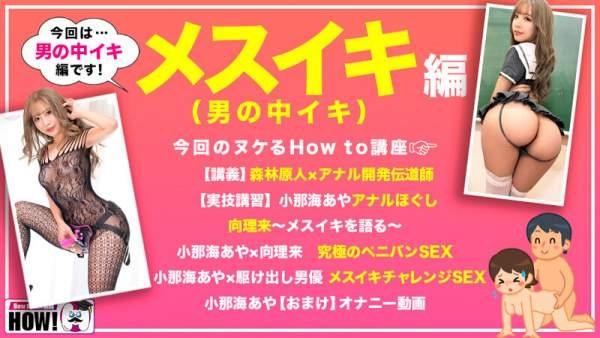 HOWS-012 이미지 #5