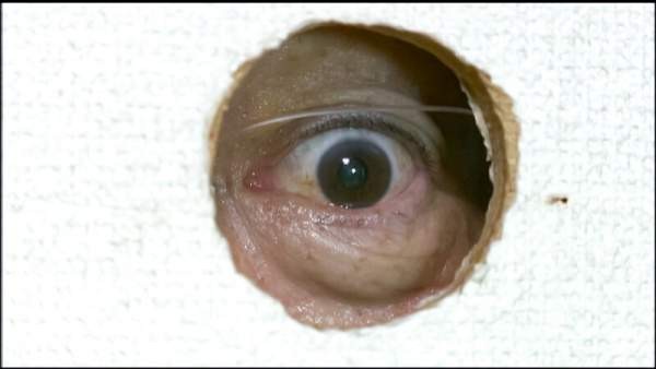 MTES-137 이미지 #12