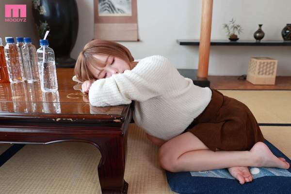 MDVR-352 이미지 #5