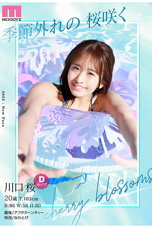 MIDA-300 이미지 #6