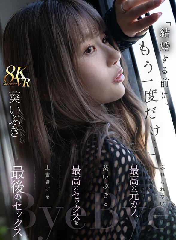 MDVR-357 이미지 #3