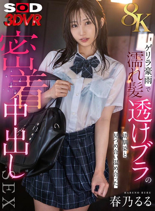 3DSVR-1823 이미지 #3