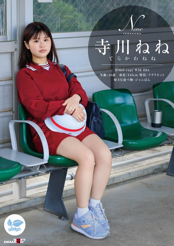 SDAB-340 이미지 #5