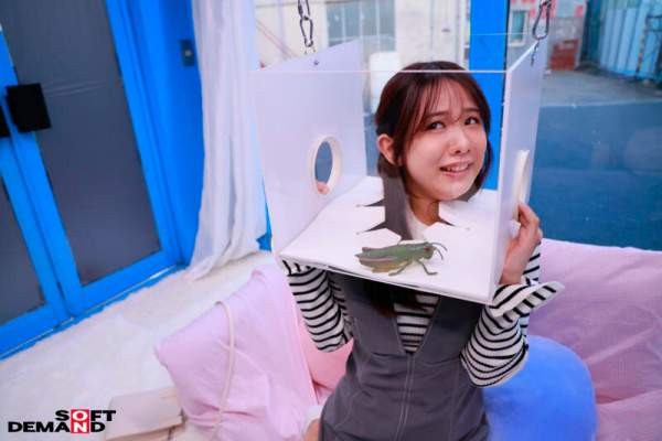 SDMM-228 이미지 #9