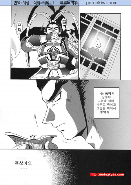 진삼국무쌍 12_by 망가 이미지 #27