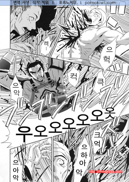 진삼국무쌍 12_by 망가 이미지 #31