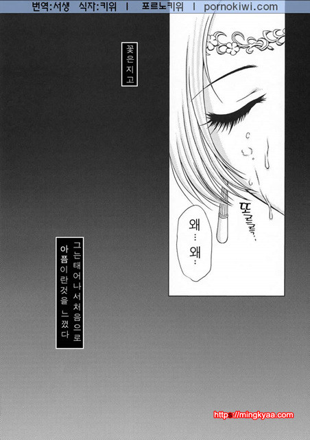 진삼국무쌍 12_by 망가 이미지 #36