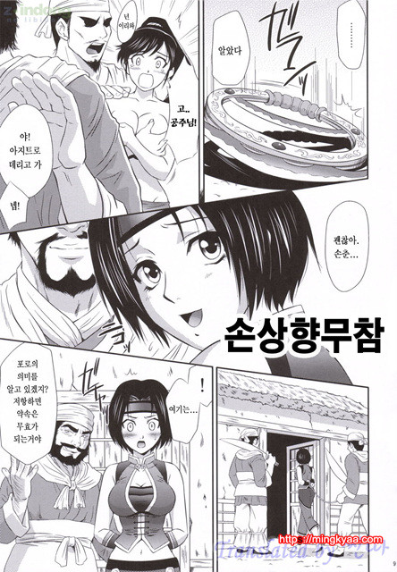 진삼국무쌍 09_by 망가 이미지 #6