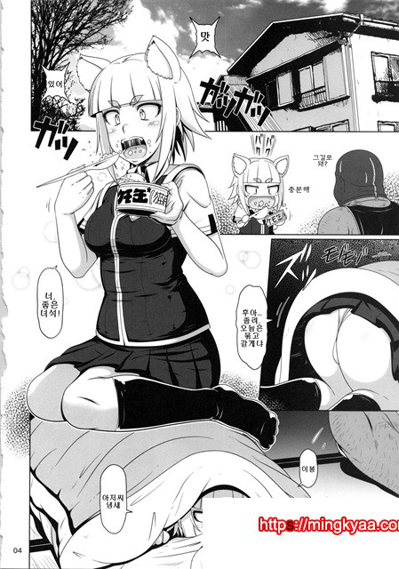 情ストレイキャッ_by 망가 이미지 #3