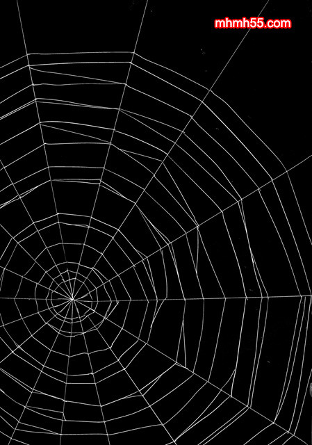 요괴진만담_by 망가 이미지 #40