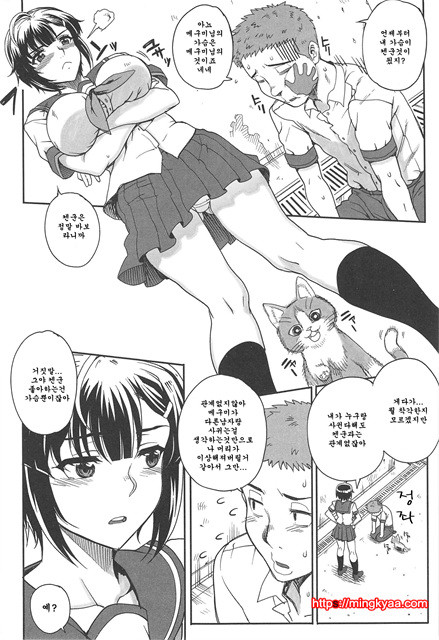 [夏庵] 오토메즈쿠시 [아르카나] 2_by 망가 이미지 #28