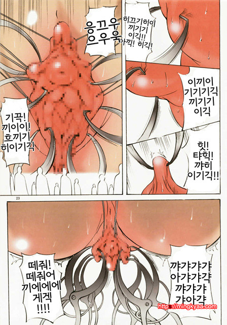 [アルゴラグニア] 사도왕 2007 (邪道王 2007) (번역본)_by 망가 이미지 #21