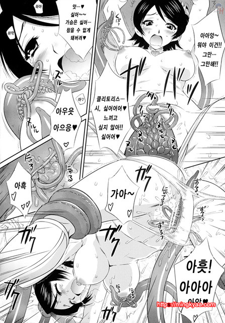 [U.R.C (MOMOYA SHOW-NEKO)] Musou MOROCHIN (Musou OROCHI) [Korean] [Team H]_by 망가 이미지 #11