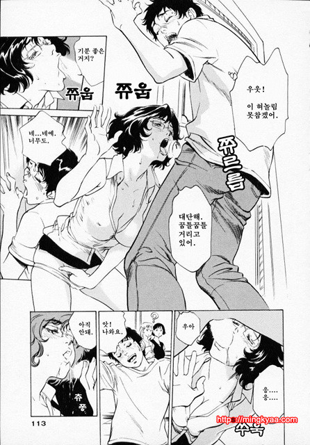 앤틱 로맨틱 1-4_by 망가 이미지 #20