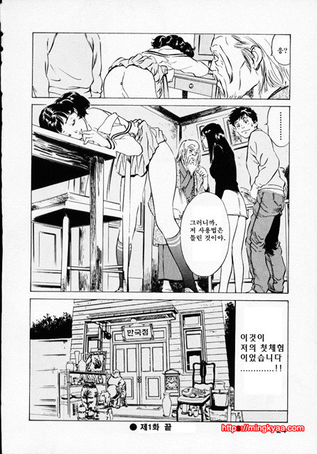 앤틱 로맨틱 1-1_by 망가 이미지 #27