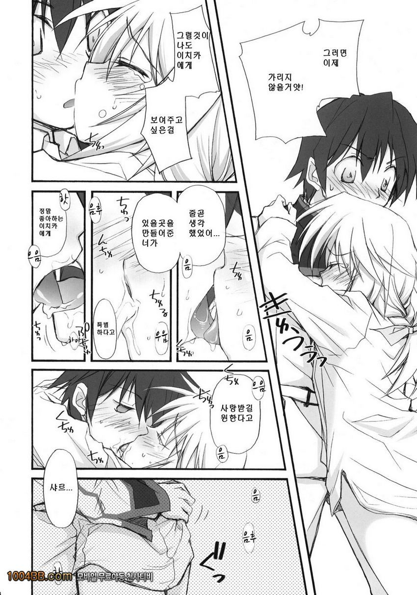 IS -Icha Icha Stratos-_by 망가 이미지 #13