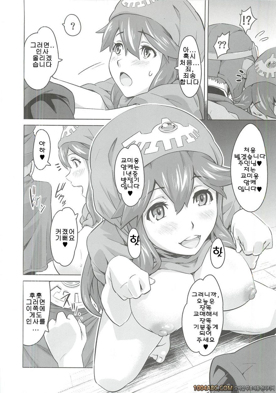 [sin-maniax (Todoroki Shin)] 개가 된 공주님3(Dragon Quest 2)_by 망가 이미지 #5