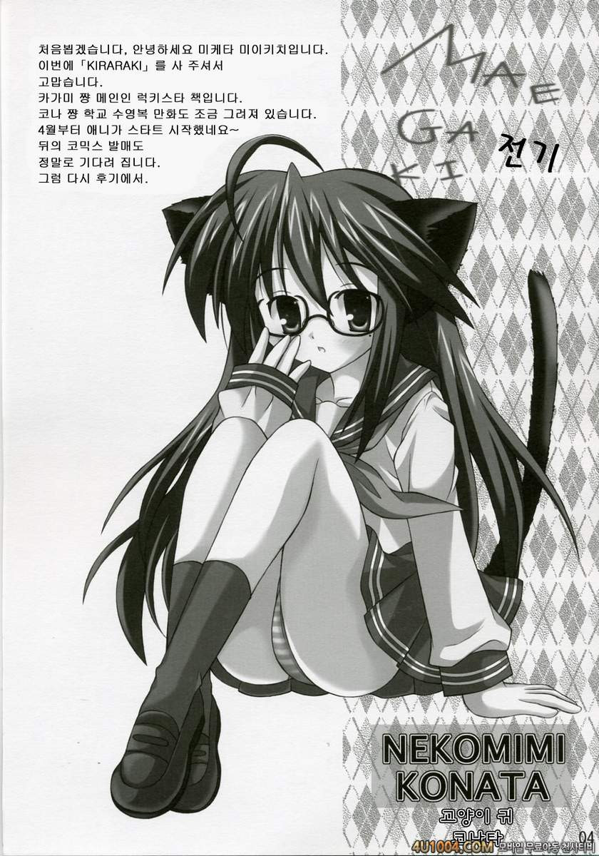 (SC35) [3 colors cat (Miketa Miekichi)] KIRARAKI (Lucky Star)_by 망가 이미지 #3