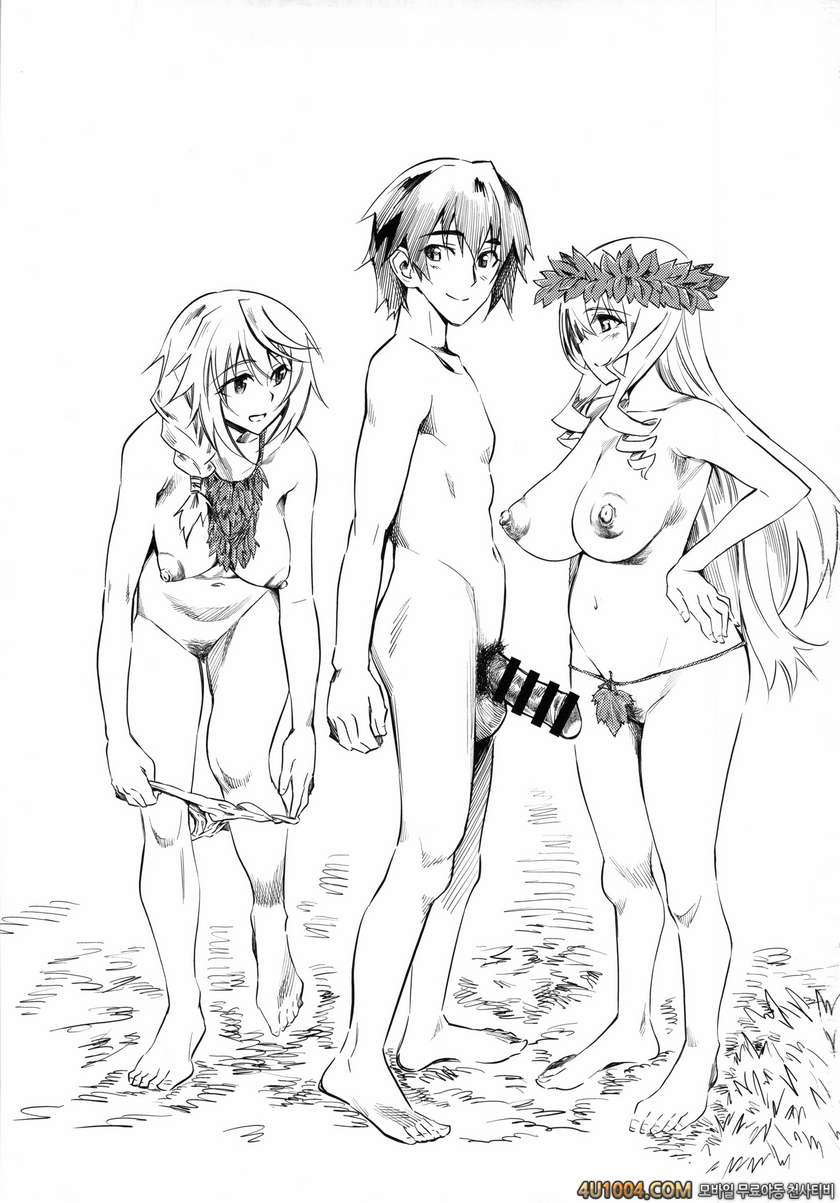 (C85) [ハイパーピンチ (clover)] N (IS＜インフィニット・ストラトス＞)_by 망가 이미지 #2