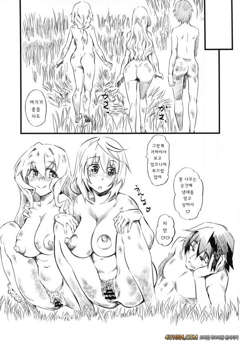 (C85) [ハイパーピンチ (clover)] N (IS＜インフィニット・ストラトス＞)_by 망가 이미지 #22