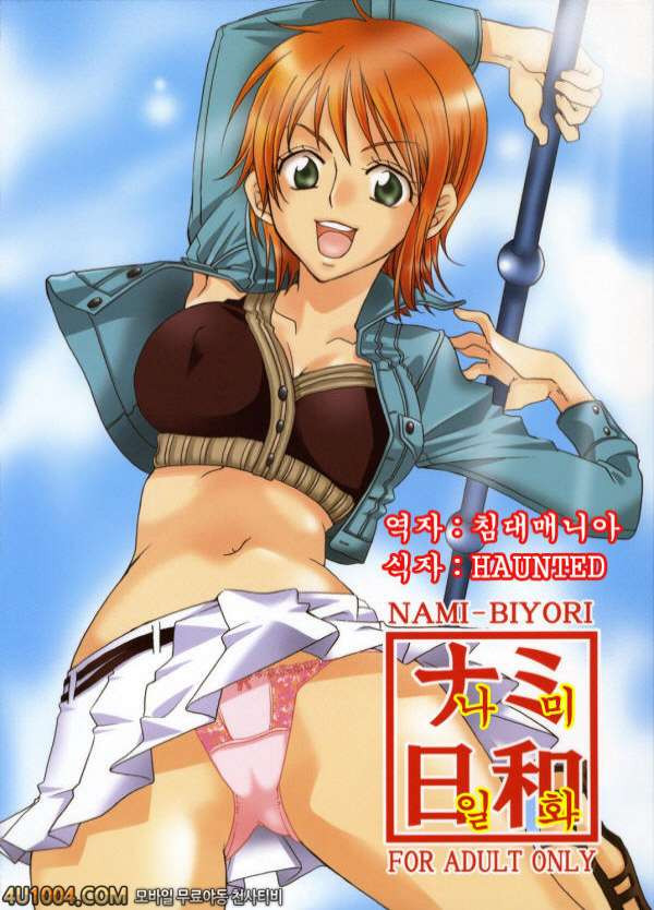 원피스 동인지 06 나미일화_by 망가 이미지 #2