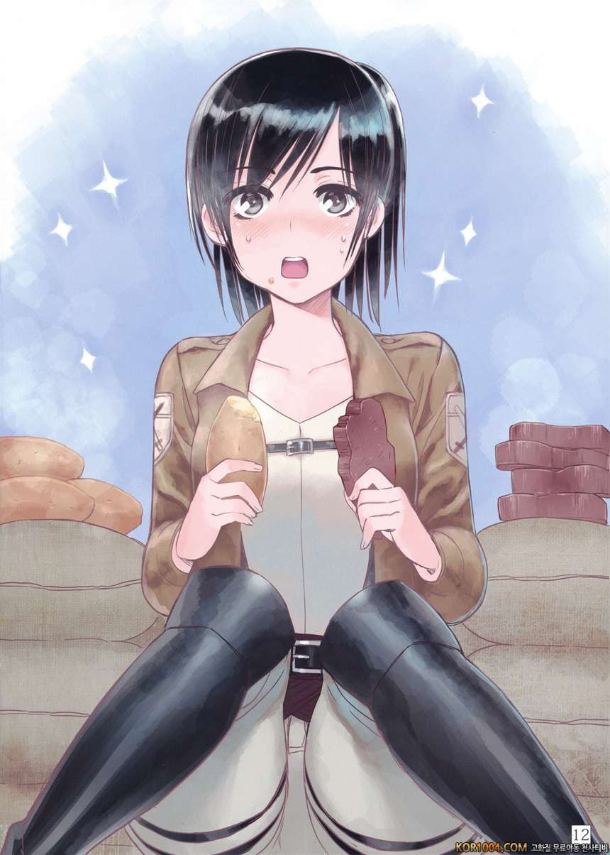 진격의 거인 동인지 SHINGEKI Vol.2_by 망가 이미지 #11