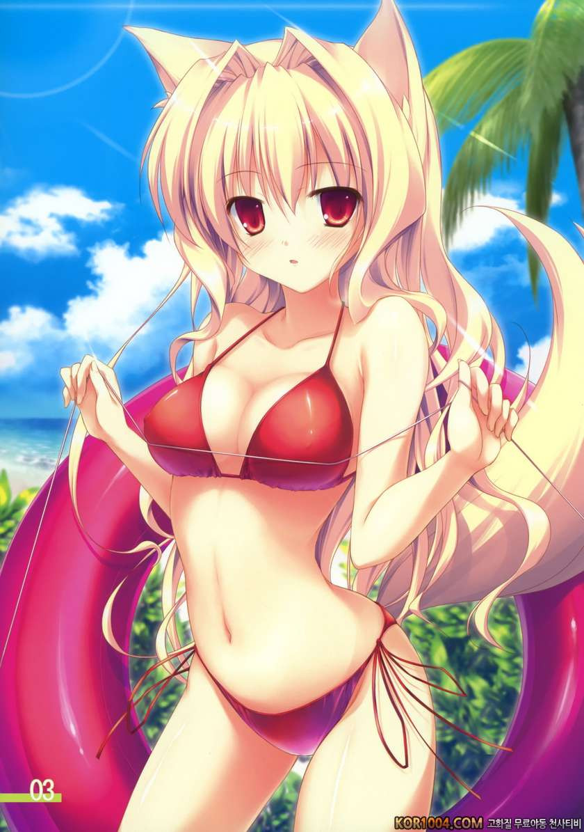 Felicitar4_by 망가 이미지 #2