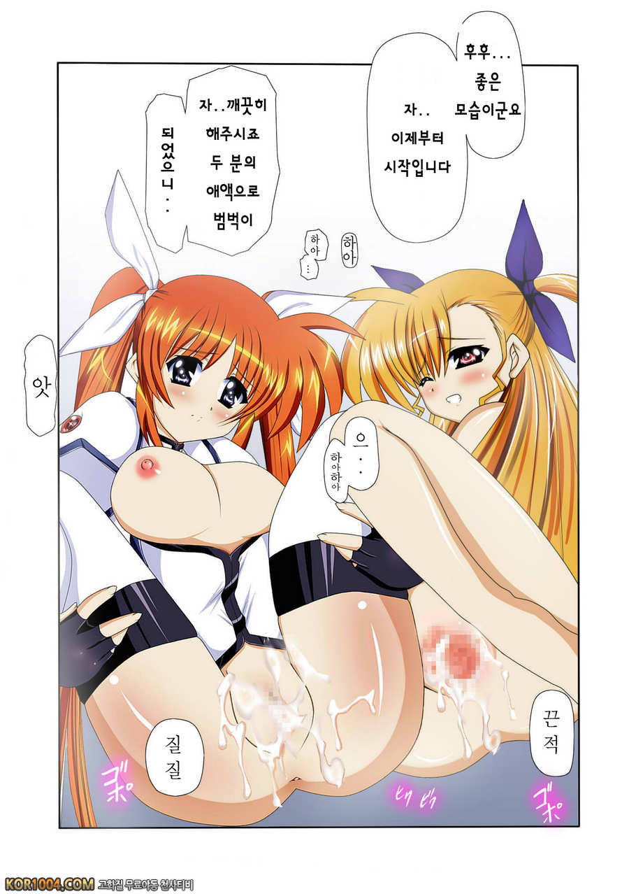 [ねこ屋] 마법소녀 리리컬한 엣찌책 8 (마법소녀 리리컬 나노하) [팀 아키바]_by 망가 이미지 #11