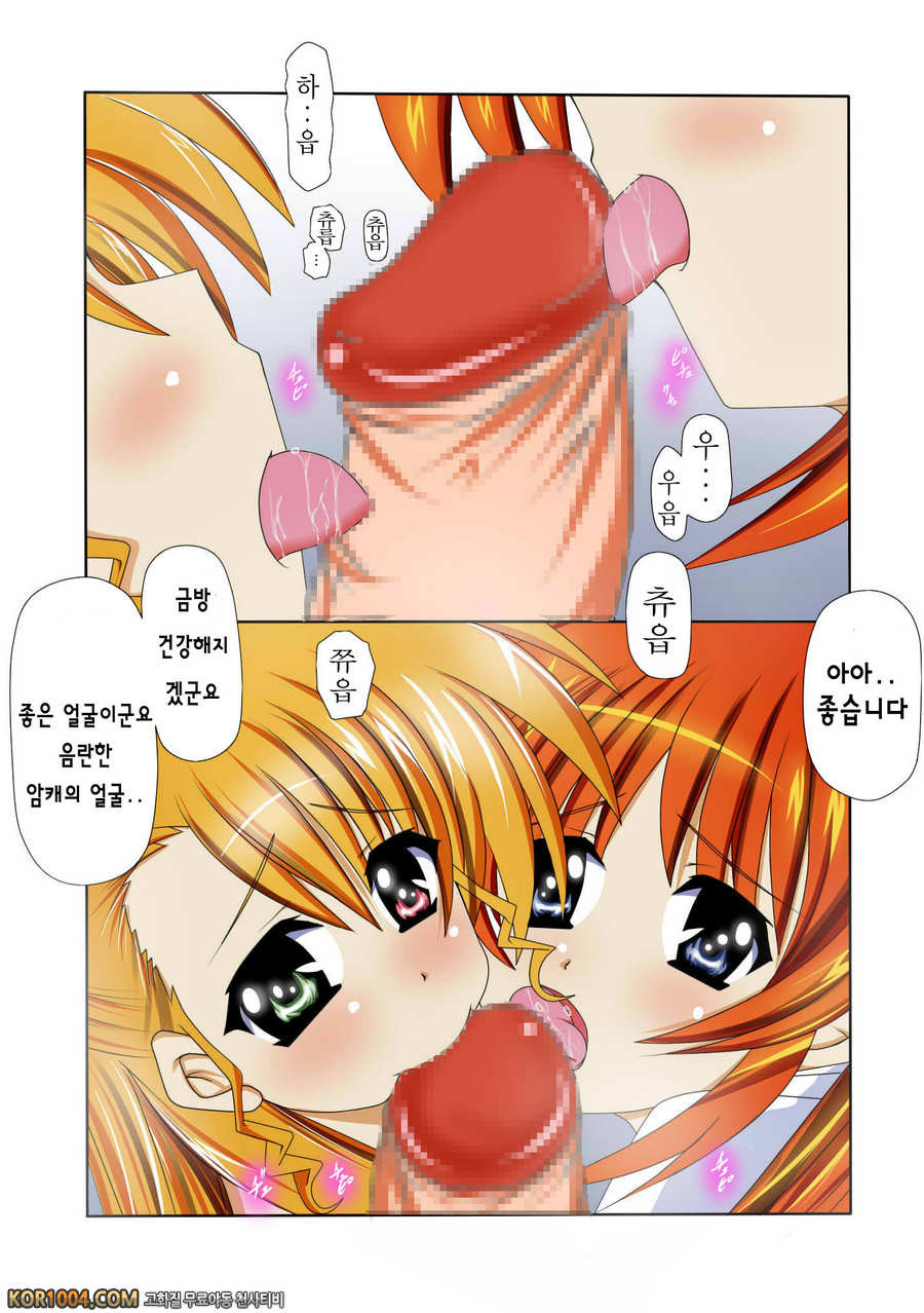 [ねこ屋] 마법소녀 리리컬한 엣찌책 8 (마법소녀 리리컬 나노하) [팀 아키바]_by 망가 이미지 #12