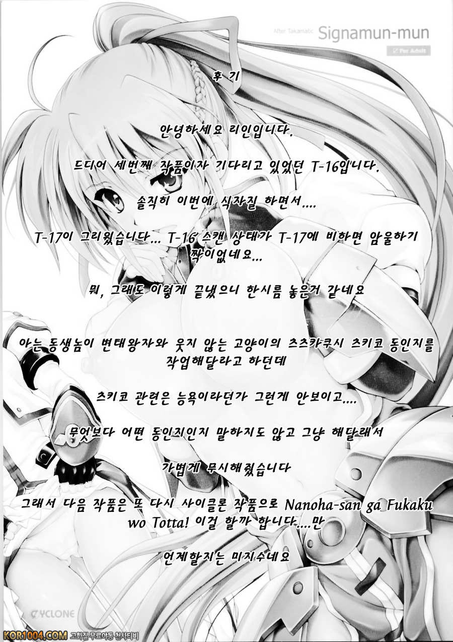 (C85) [サイクロン (和泉, 冷泉)] T-16 Signamun-mun (魔法少女リリカルなのは)_by 망가 이미지 #45