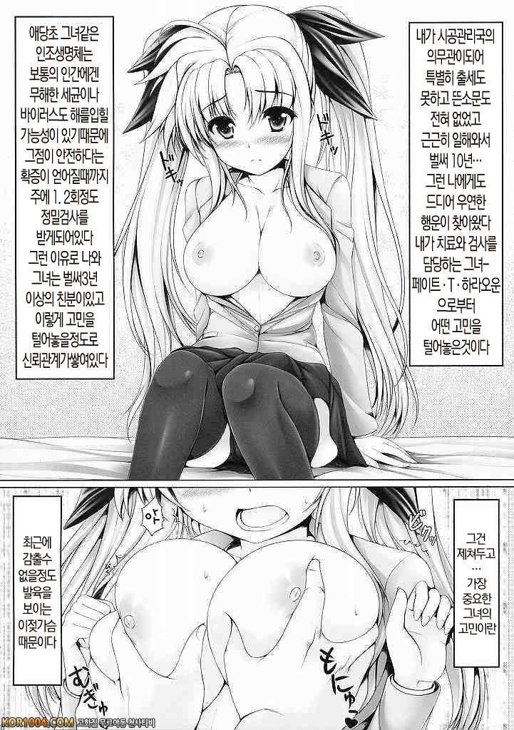 (C77) MONSTER HUNTER 리리컬 페이트 (마법소녀 리리컬 나노하) [아르카나]_by 망가 이미지 #7