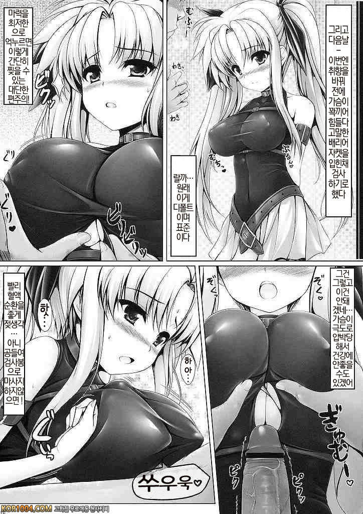 (C77) MONSTER HUNTER 리리컬 페이트 (마법소녀 리리컬 나노하) [아르카나]_by 망가 이미지 #14