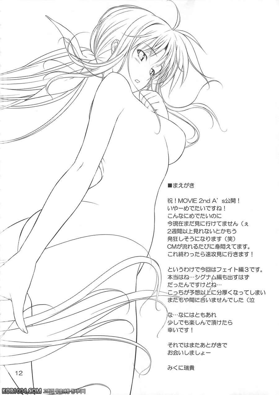 (C82) [IV VA SHIN (Mikuni Mizuki)] Home Sweet Home ～ Fate hen 3_by 망가 이미지 #10