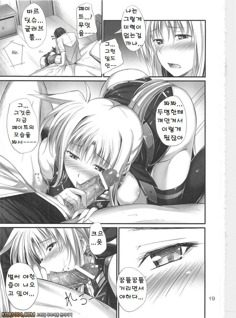 (C82) [IV VA SHIN (Mikuni Mizuki)] Home Sweet Home ～ Fate hen 3_by 망가 이미지 #17