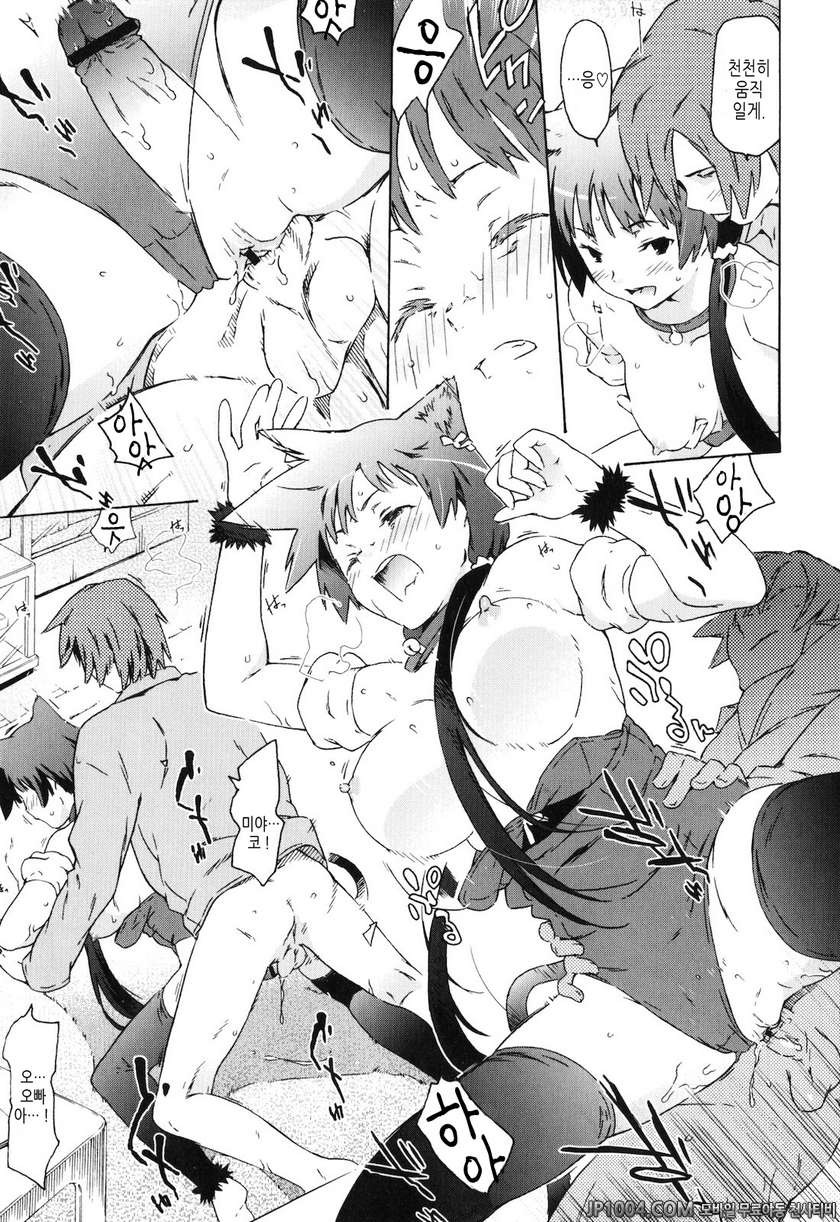 누나랑 여동생은 내 신부#8 여동생은 고양이이자 신부_by 망가 이미지 #11