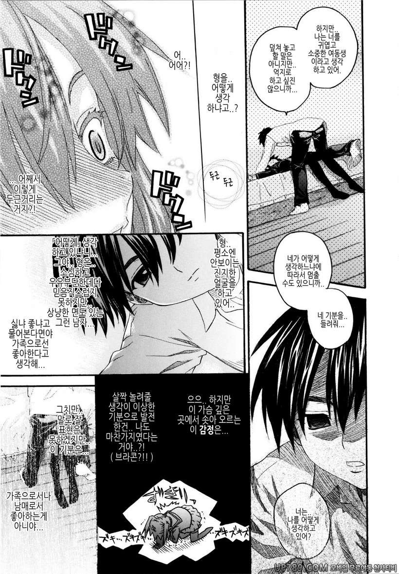 시스터 천국#7 오빠라고는 부르고 싶지않아 제1화_by 망가 이미지 #13