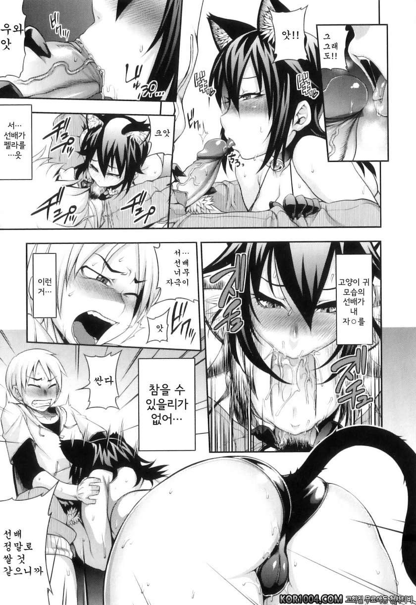 순애 멜로우#2- 재난이 닥쳐서 고양이가 되다_by 망가 이미지 #9